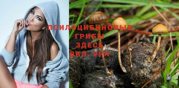 MDMA Россошь