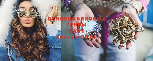 ПСИЛОЦИБИНОВЫЕ ГРИБЫ Дмитров